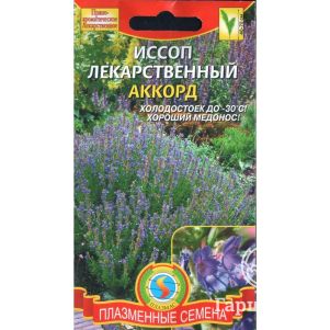 

Семена Иссоп лекарственный Аккорд 0,3гр ЦП