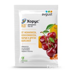 

Хорус 2 гр. Август