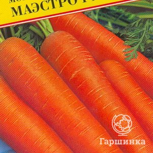 

Семена Морковь "Маэстро" F1 6 м, Престиж