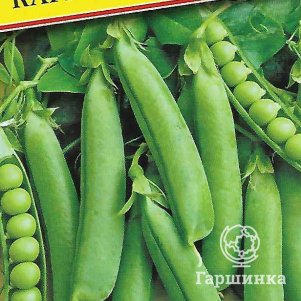 

Семена Горох "Карина" 4 гр, Престиж