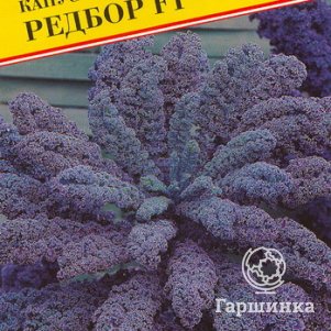 Семена Капуста листовая "Редбор F1" 5 шт, Престиж