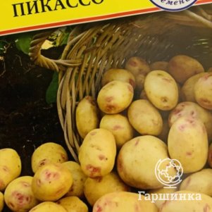 Семена Картофель Пикассо 0,05 гр, Престиж