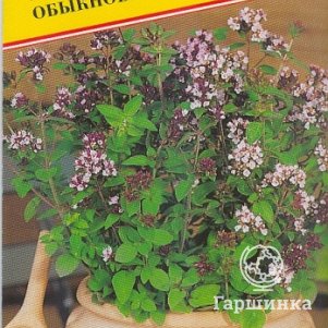 

Семена Майоран обыкновенный 0,1 гр, Престиж