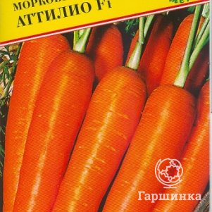 

Семена Морковь "Аттилио" 0,5 гр, Престиж