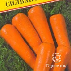 

Семена Морковь "Силвано" F1 0,5 гр, Престиж