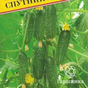 

Семена Огурец "Спутник" 10 шт, Престиж