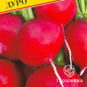 

Семена Редис "Дуро" 1 гр, Престиж