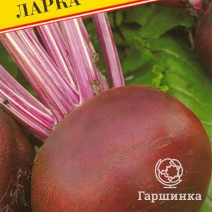 Семена Свекла ст."Ларка" 1 гр, Престиж