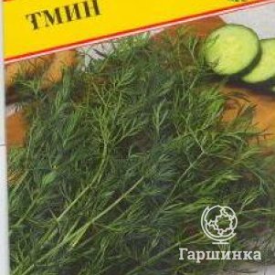 Семена Тмин 0,5 гр - фото 1
