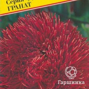 

Семена Астра "Джуэл" Гранат 0,3 гр, Престиж