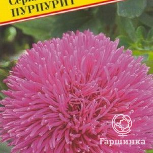 

Семена Астра "Джуэл" Пурпурит 0,3 гр, Престиж