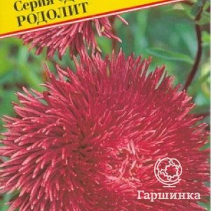 

Семена Астра "Джуэл" Родолит 0,3 гр, Престиж