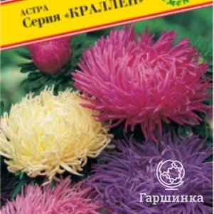 

Семена Астра "Краллен" Смесь всех цветов 0,3 гр, Престиж