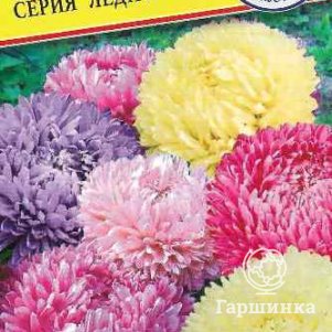 Семена Астра "Леди Корал"   Смесь всех цветов 0,1 гр, Престиж