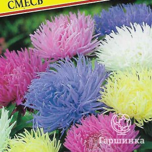 Семена Астра "Павлова" смесь 0,3 гр, Престиж