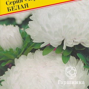 

Семена Астра "Тауэр" Белая 0,3 гр, Престиж