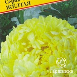 

Семена Астра "Тауэр" Жёлтая 0,3 гр, Престиж