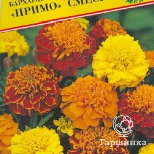 

Семена Бархатцы откл."Примо" Смесь 20 шт, Престиж