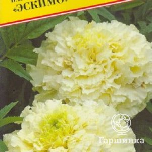 

Семена Бархатцы прям."Эскимо F1" 10 шт, Престиж