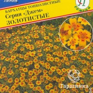 

Семена Бархатцы тонкол."Джем" Золотистые 10 шт, Престиж