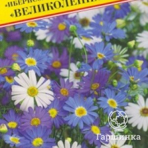 

Семена Брахикома "Великолепная" 0,05 гр, Престиж