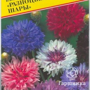 Семена Василек синий махровый "Разноцветные шары" 10 шт, Престиж