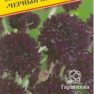 

Семена Василек синий махровый "Черный шар" 10 шт, Престиж