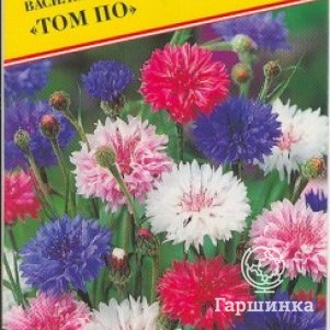 Семена Василек синий "Том По" 10 шт, Престиж