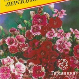 

Семена Гвоздика китайская "Персидский ковер" 0,15 гр, Престиж