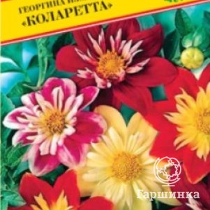 

Семена Георгина изменчивая "Коларетта" 12 шт, Престиж