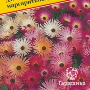 

Семена Доротеантус маргаритковый Смесь 0,1 гр, Престиж