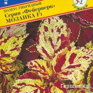 

Семена Колеус "Фейерверк" Мозаика F1 10 шт, Престиж