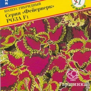 

Семена Колеус "Фейерверк" Роза F1 10 шт, Престиж