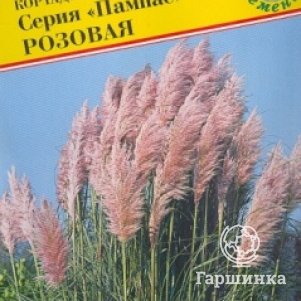

Семена Кортадерия Пампас Розовая 0,1 гр, Престиж