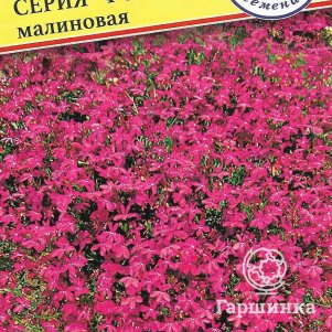 

Семена Лобелия амп."Фонтан" Малиновая 0,05 гр, Престиж