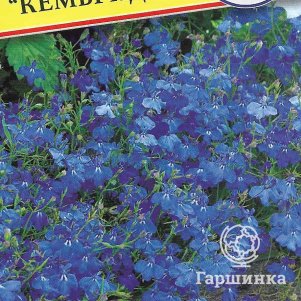 

Семена Лобелия куст. "Кембридж" 0,05 гр, Престиж