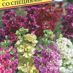 

Семена Маттиола седая "Сахар со специями" Смесь 10 шт, Престиж
