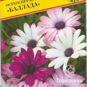 

Семена Остеоспермум "Баллада" 5 шт, Престиж