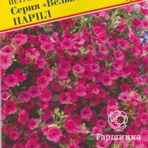 Семена Петуния амп.крцв. "Вельвет" Парпл F1 5 др, Престиж