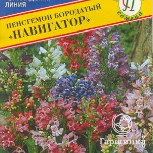 Семена Петуния амп.крцв. "Лавина" Пурпурный F1 10 др, Престиж