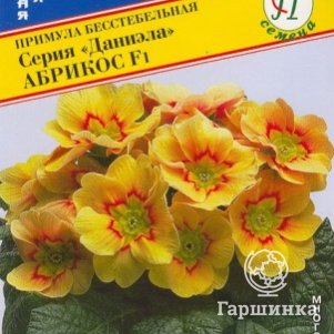 

Семена Примула бесст."Даниела" Абрикос F1 5 шт, Престиж