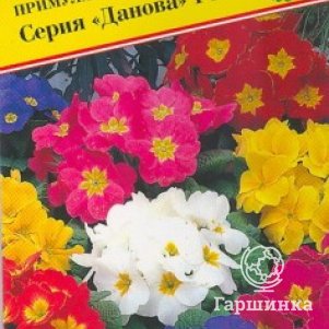 Семена Примула бесст."Данова" Смесь F1 5 шт, Престиж