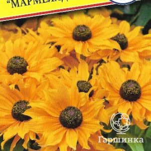 Семена Рудбекия мохнатая "Мармелад" 30 шт, Престиж