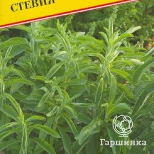 Семена Стевия (Медовая трава) 5 шт, Престиж