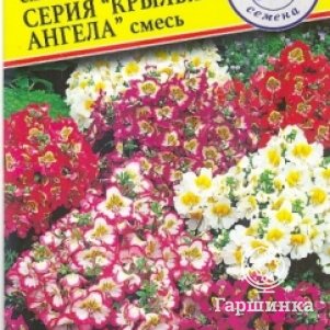 Семена Схизантус "Крылья Ангела" 0,1 гр, Престиж