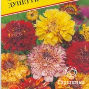 Семена Хризантема "Дунетти" 0,5 гр, Престиж