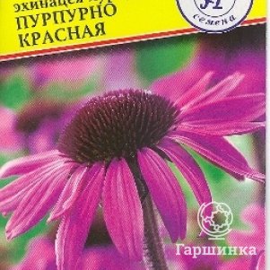 Семена Эхинацея пурпурная Пурпурно красная 0,1 гр