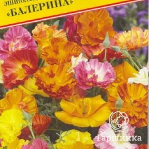 

Семена Эшшольция "Балерина" 0,1 гр, Престиж