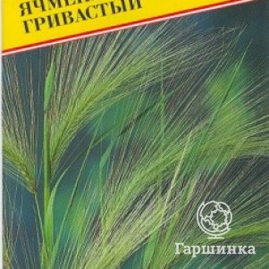 Семена Ячмень "Гривастый" 0,15 гр, Престиж