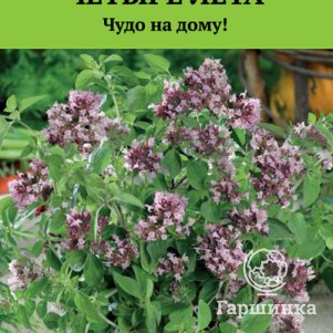 

Семена Душица обыкновенная Надежда (А) 20, Поиск